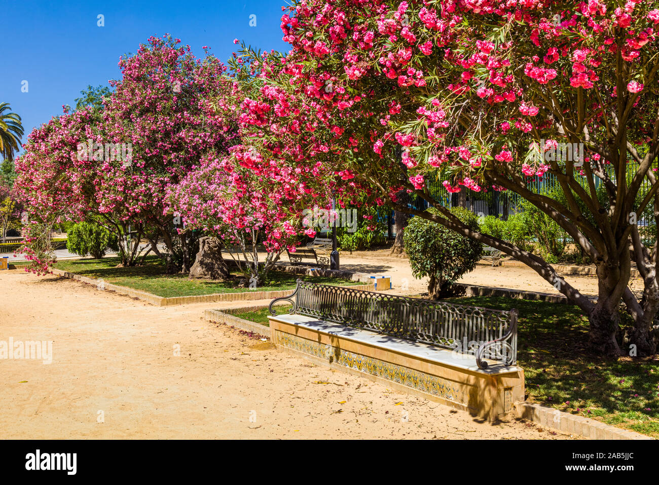 Jardines de jardins de Murillo à Séville, Andalousie, Espagne, Europe. Banque D'Images