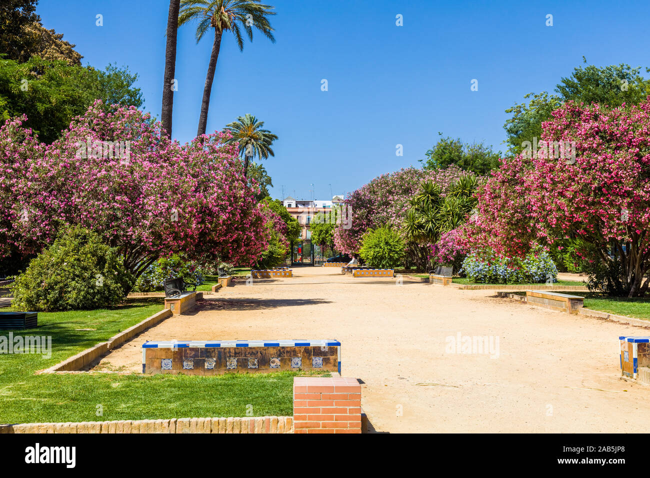 Jardines de jardins de Murillo à Séville, Andalousie, Espagne, Europe. Banque D'Images