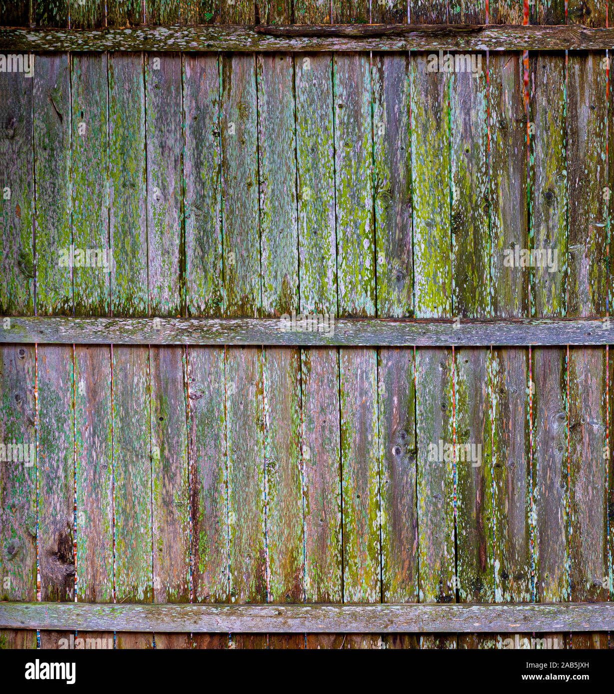 Vieille clôture en bois avec des planches recouvertes de différentes sortes d'algues et de lichens. Banque D'Images