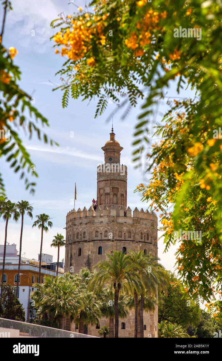 La Torre del Oro ou gold tour construite au 13ème siècle (1220-1221) sur la rivière Guadalquivir à Séville, Espagne Banque D'Images