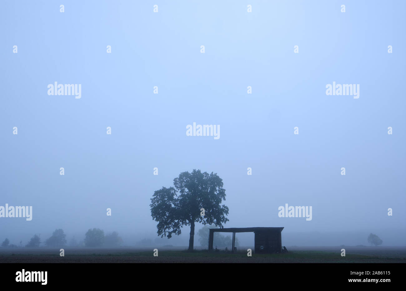 Paysage agricole atmosphérique avec champ en jachère et un arbre isolé aux côtés d'un vieux hangar rustique dans un épais brouillard Banque D'Images Paysage agricole atmosphérique avec champ en jachère et un arbre isolé aux côtés d'un vieux hangar rustique dans un épais brouillard Banque D'Images