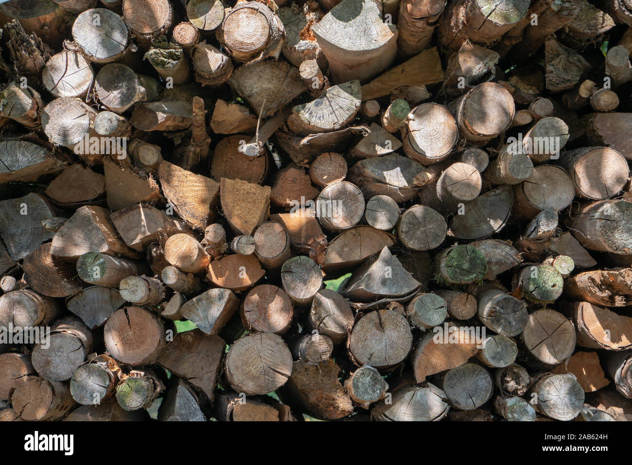 Gros plan d'une pile de bois naturel dans différentes formes dans une lumière ensoleillée Banque D'Images
