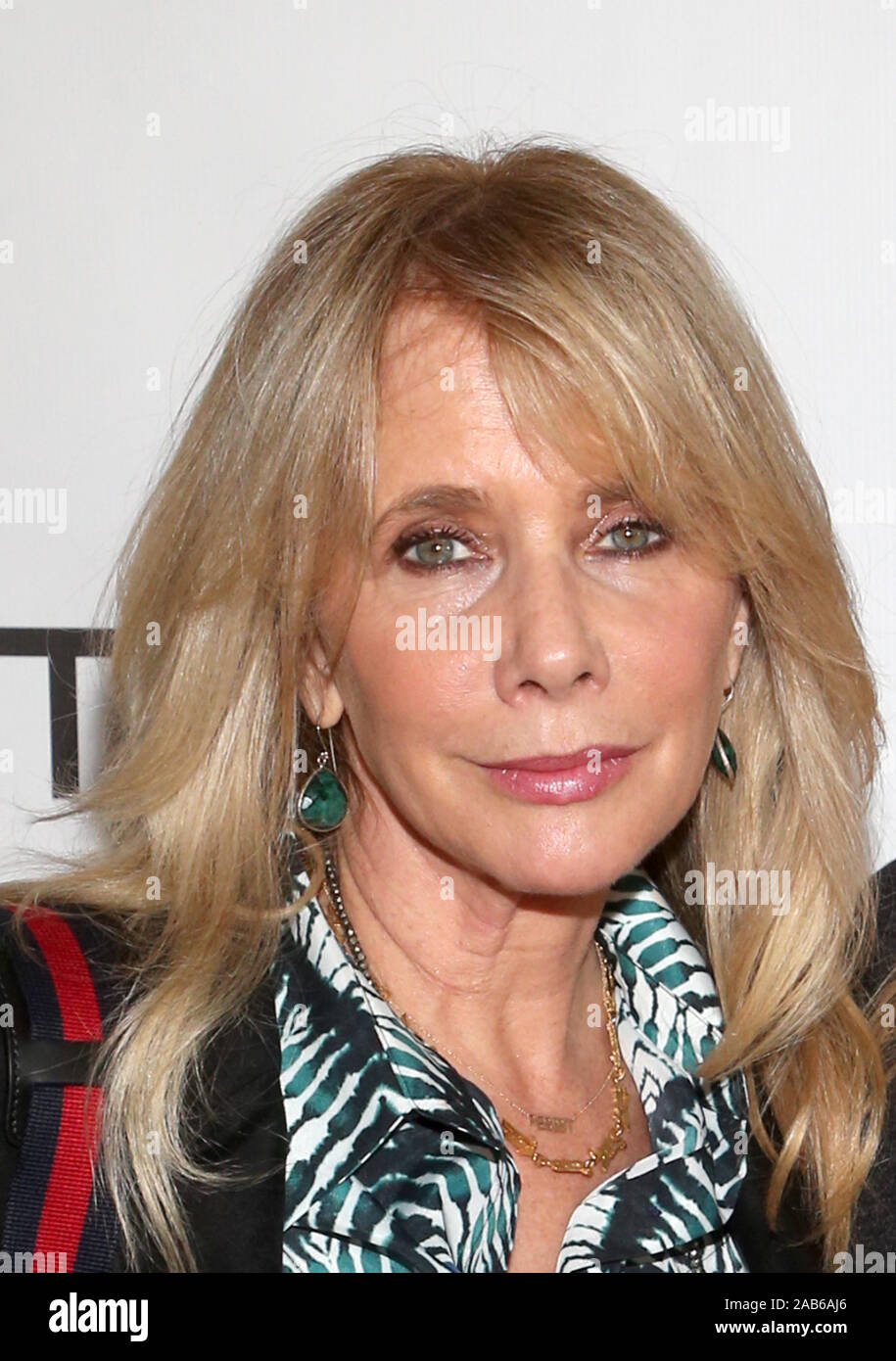 Novembre 22, 2019, Los Angeles, CA, USA : 22 novembre 2019 - Los Angeles, Californie - Rosanna Arquette. LA Lupus's Hollywood Bag Ladies Déjeuner au Beverly Hilton Hotel. (Crédit Image : © F. S/AdMedia via Zuma sur le fil) Banque D'Images