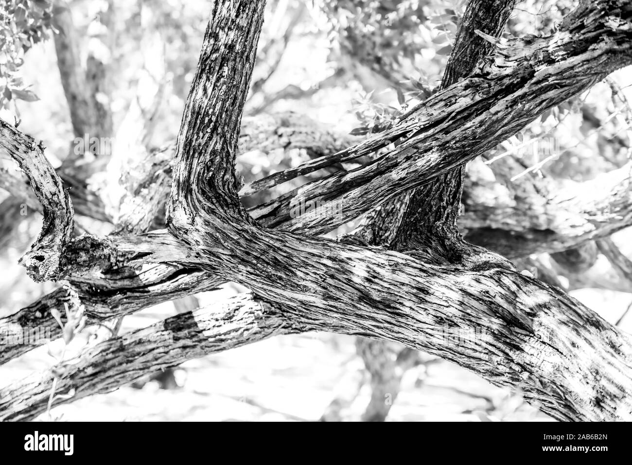 Phare de sanibel plage attractions Banque de photographies et d’images