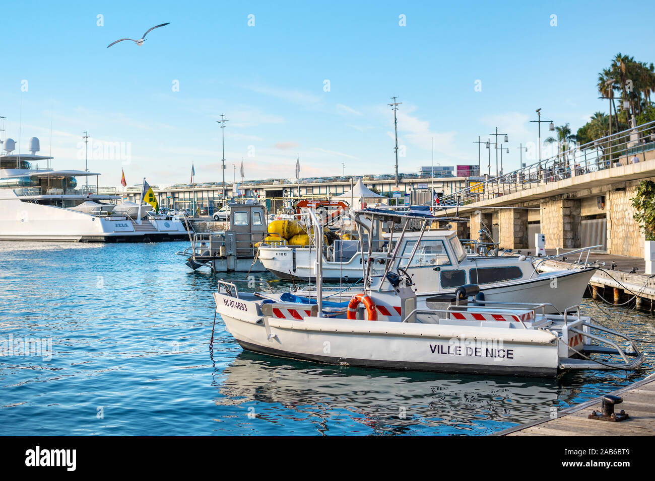 Une mouette vole par-dessus les bateaux amarrés dans le Vieux Port dans la ville méditerranéenne de Nice France sur la côte d'Azur. Banque D'Images