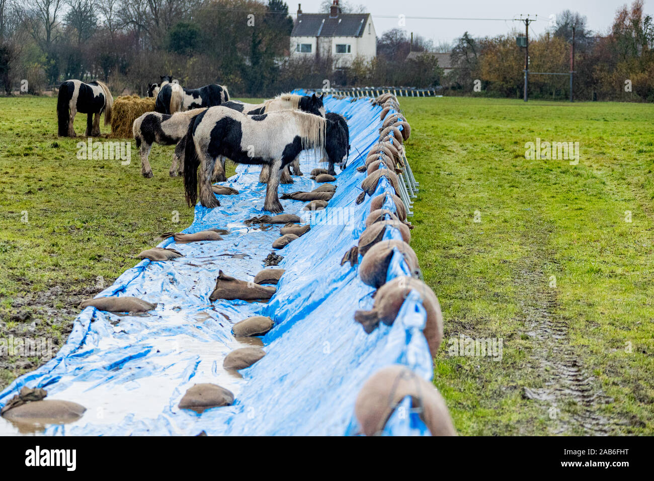 La périphérie de frapper d'inondation de Fishlake village près de Doncaster dans le sud du Yorkshire. Banque D'Images