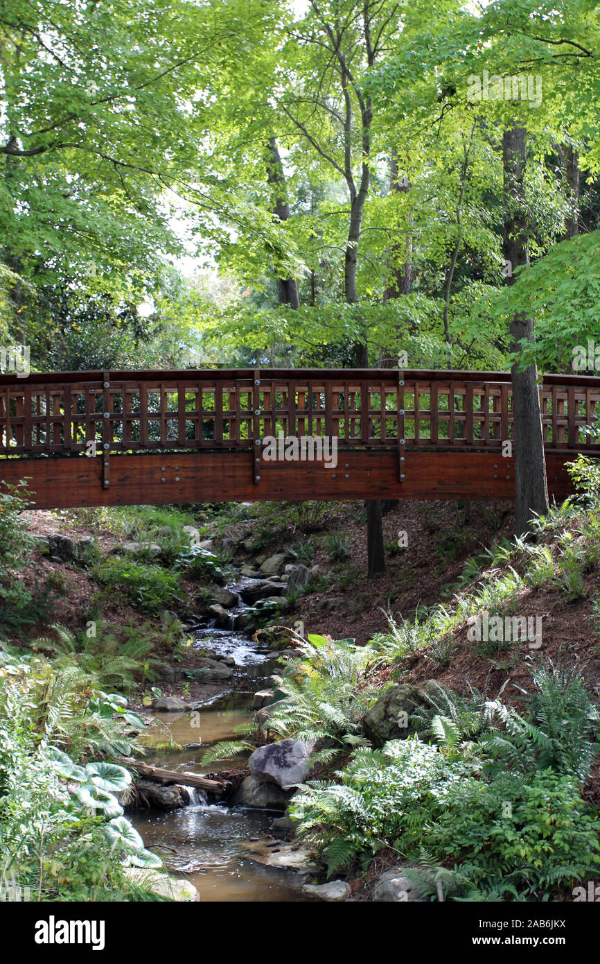 Un pont en bois pour traverser un petit ruisseau dans une forêt à Durham, Caroline du Nord, USA, en Octobre Banque D'Images