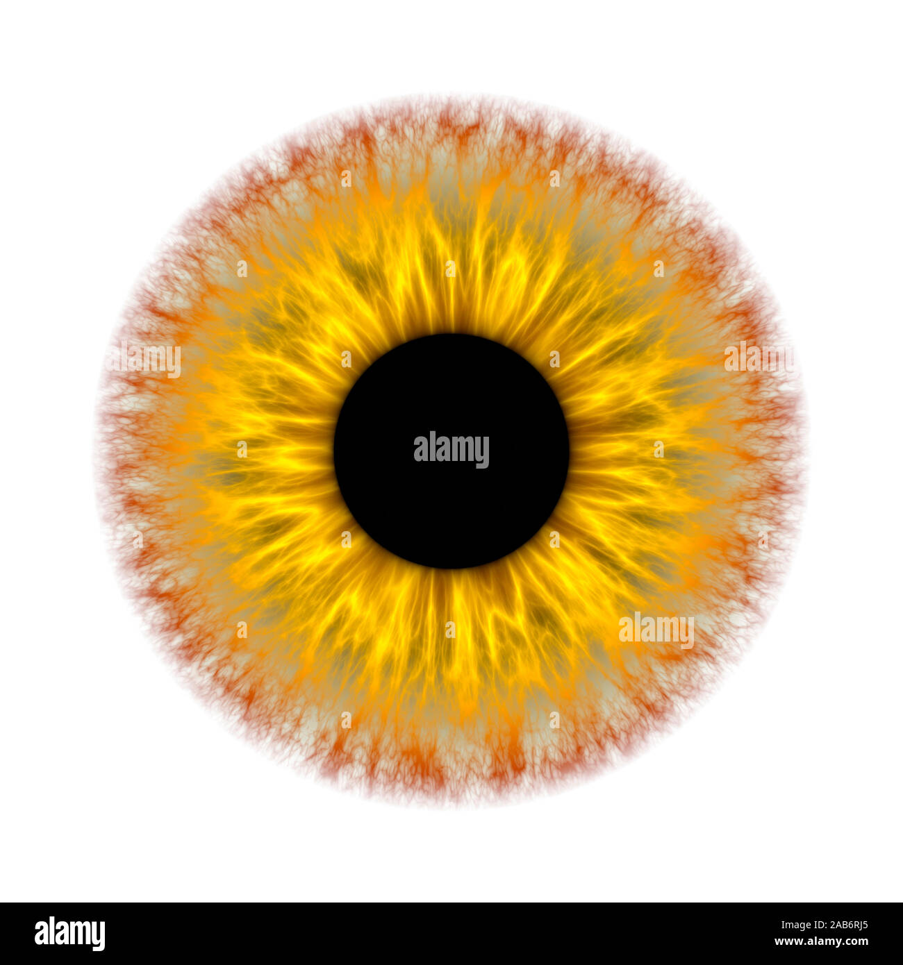 Une illustration d'un iris jaune spooky Banque D'Images