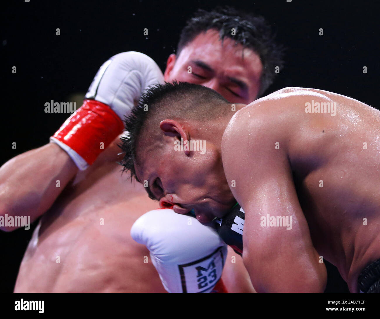 Beijing, USA. 23 Nov, 2019. La Chine Xu pouvez (arrière) est en concurrence avec United States challenger Manny Robles III à Indio, aux États-Unis, le 23 novembre 2019. China's first World Boxing Association (WBA) Xu champion peut réussi à défendre son titre WBA poids plume après avoir battu Manny Robles III le samedi soir en Californie. Crédit : Li Ying/Xinhua/Alamy Live News Banque D'Images