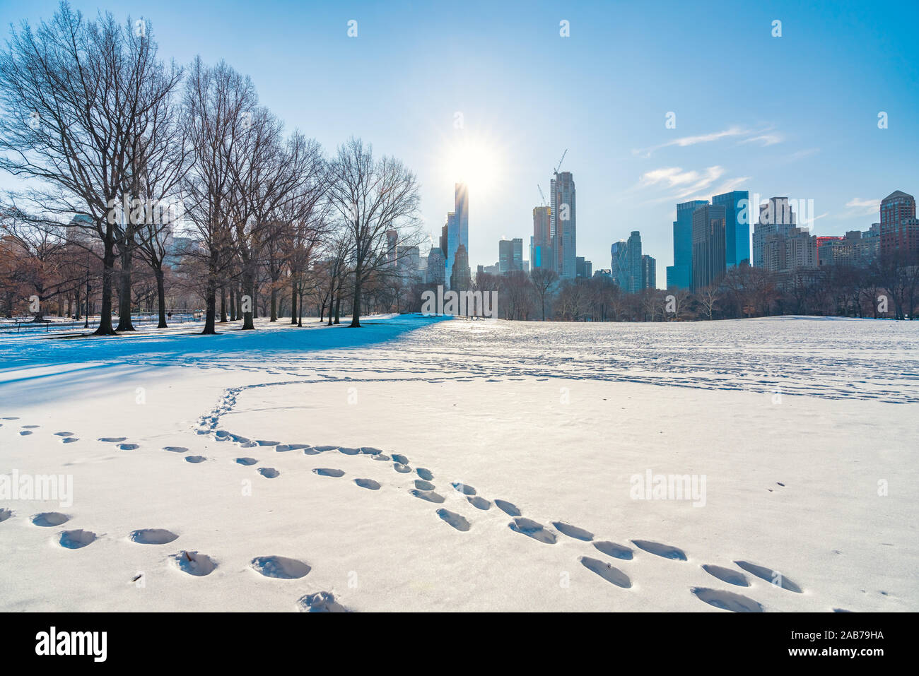NY Central Park à jour d'hiver Banque D'Images