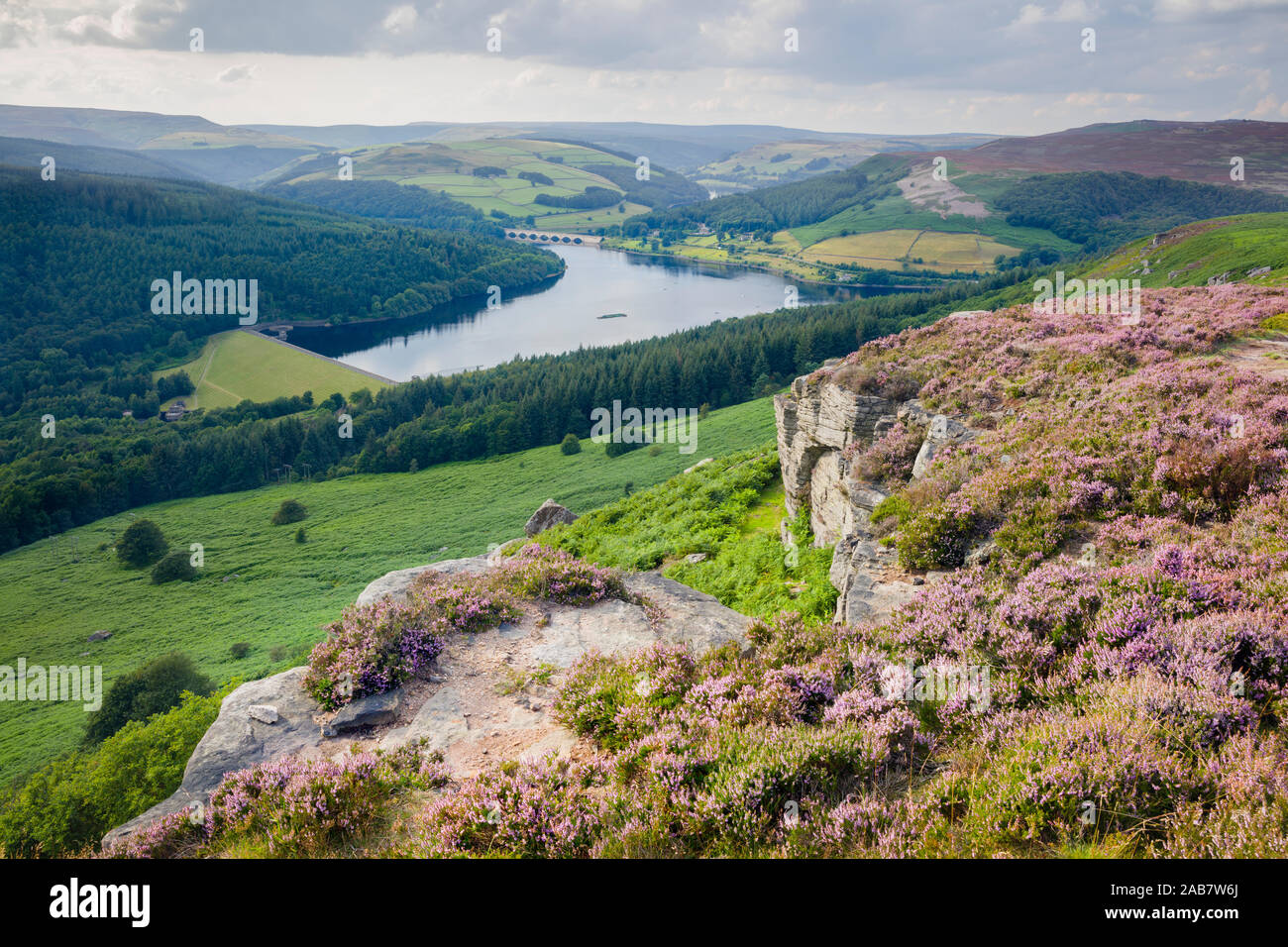 Heather l'été en pleine floraison le long bord Bamford au-dessus du Ladybower Reservoir dans le Peak District, Derbyshire, Angleterre, Royaume-Uni, Europe Banque D'Images