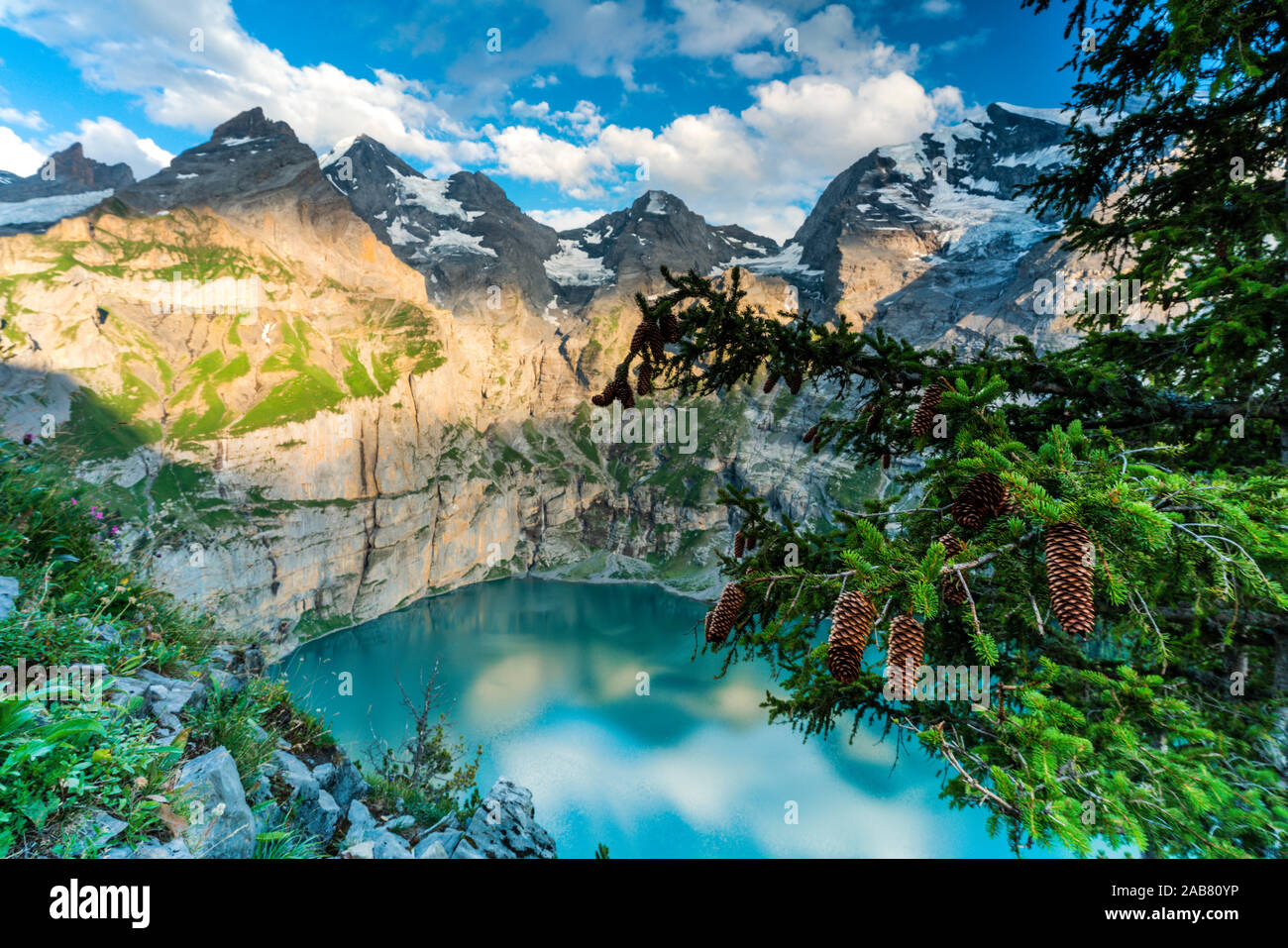 Arbres et des pommes de pin l'Oeschinensee chalets lac au coucher du soleil, dans l'Oberland bernois, Kandersteg, Canton de Berne, Suisse, Europe Banque D'Images