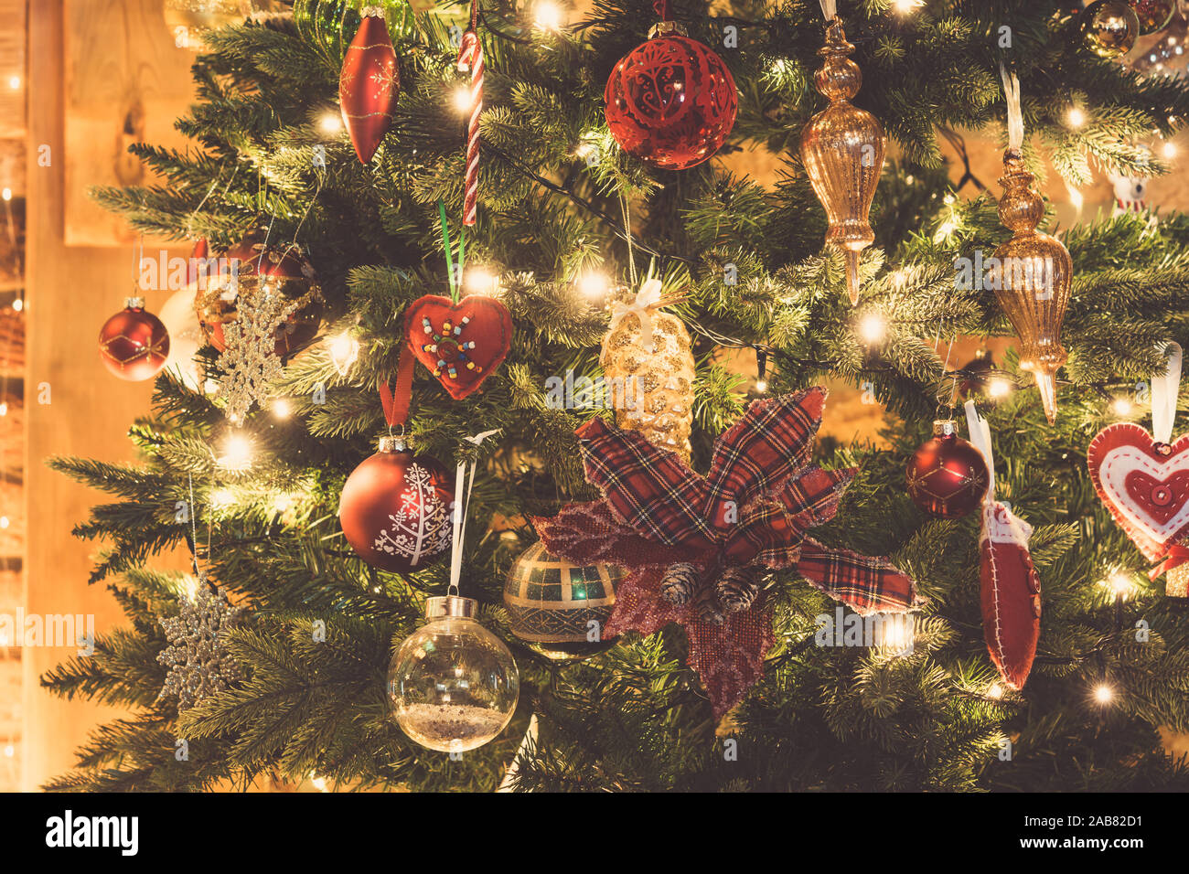 Close up of decorated Christmas Tree, poinsettia, fleur de Noël, guirlandes lumineuses, tonique, selective focus Banque D'Images