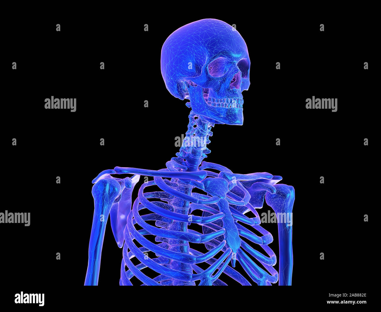 Rendu 3D abstract style synthwave illustration d'un squelette humain Banque D'Images