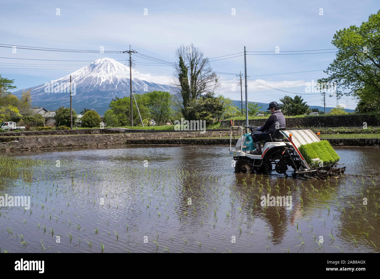 Le Japon, Fujinomiya : aperçu d'un champ de riz et le Mont Fuji. Paysans cultivant du riz dans une parcelle agricole plantation mécanique de plants de riz Banque D'Images