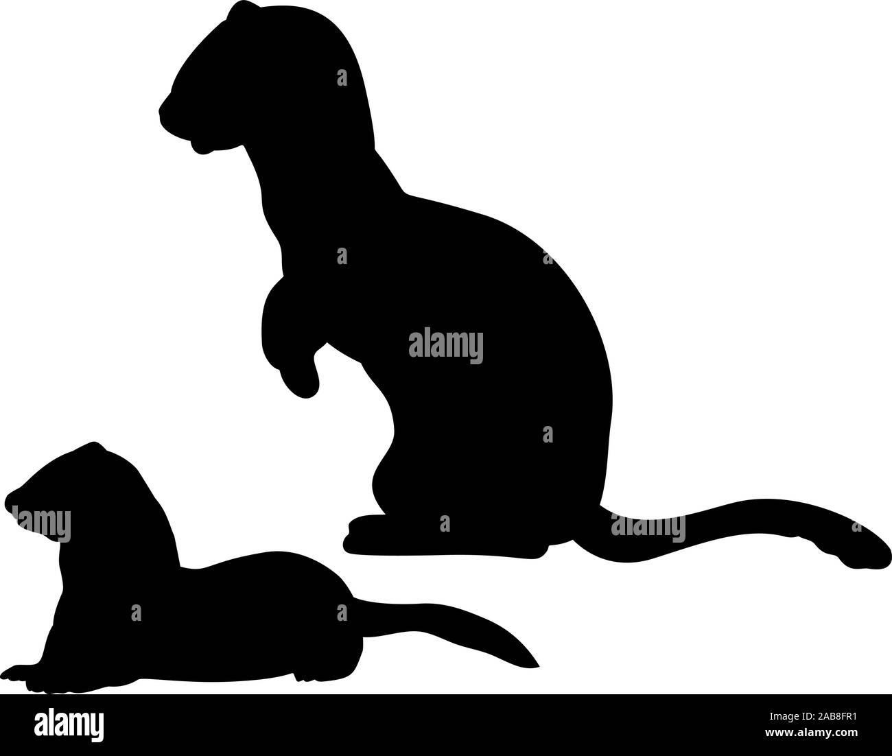 Silhouette de Weasel ferret avec cub belettes Ferret. Un animal de la famille des martres. Vector illustrator Illustration de Vecteur