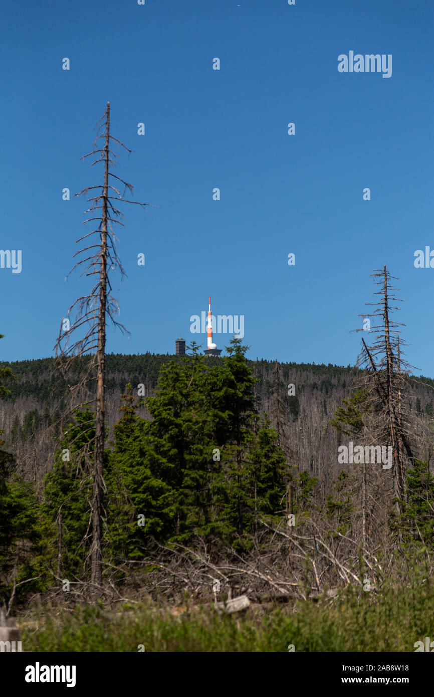 Vue à travers la forêt de la mort dans le Harz jusqu'au Brocken. Portrait Banque D'Images