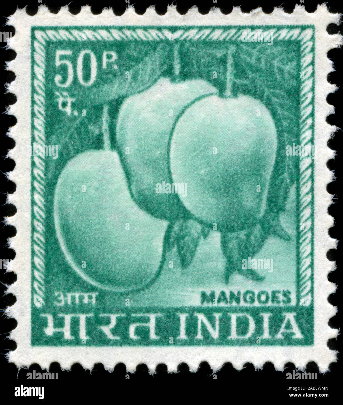 Mangues Banque D'Images