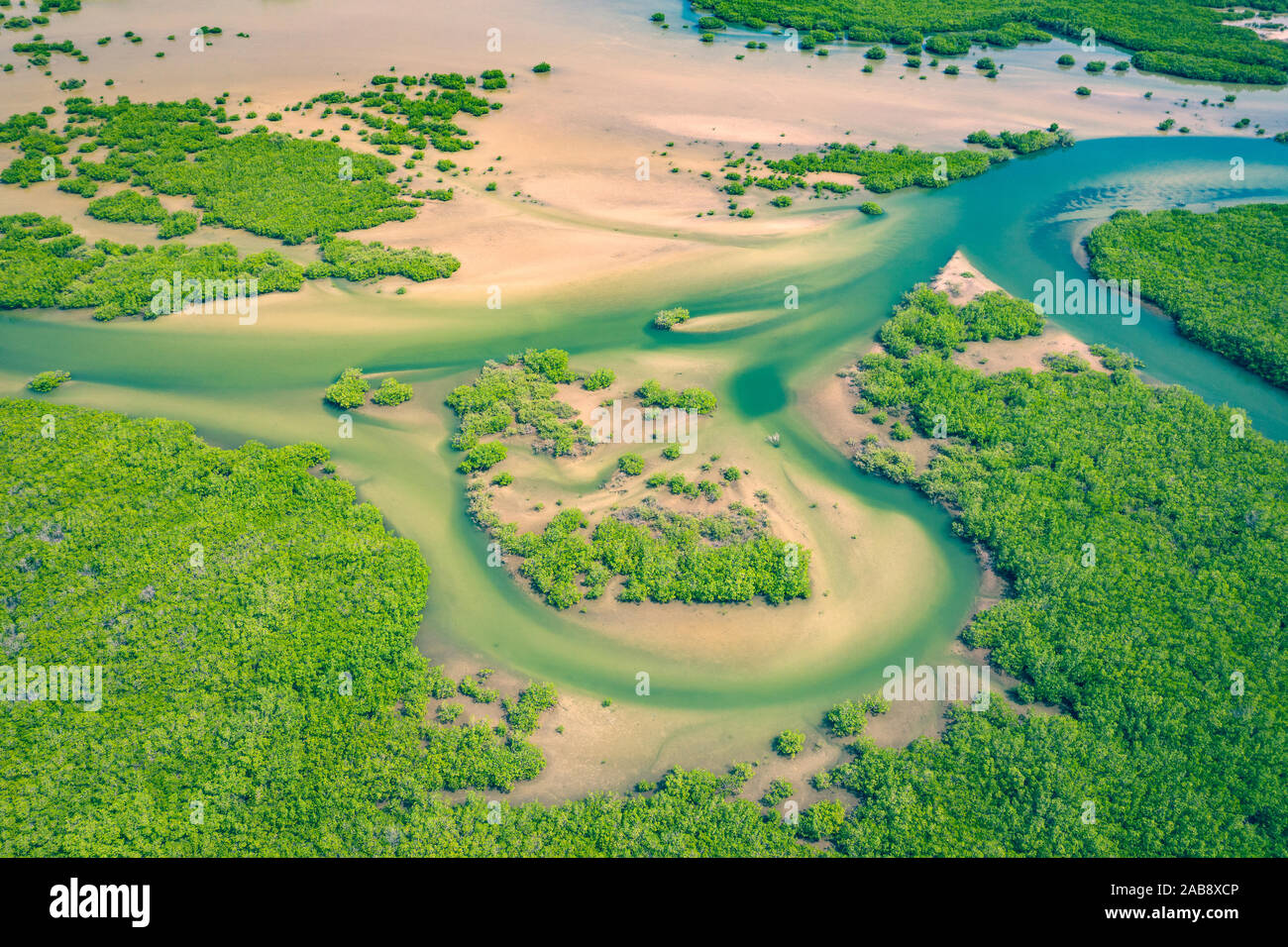 Sénégal les mangroves. Vue aérienne de la forêt de mangrove dans le Parc National du Delta du Saloum, Joal Fadiout, au Sénégal. Photo faite par drone depuis au-dessus. Na Afrique Banque D'Images