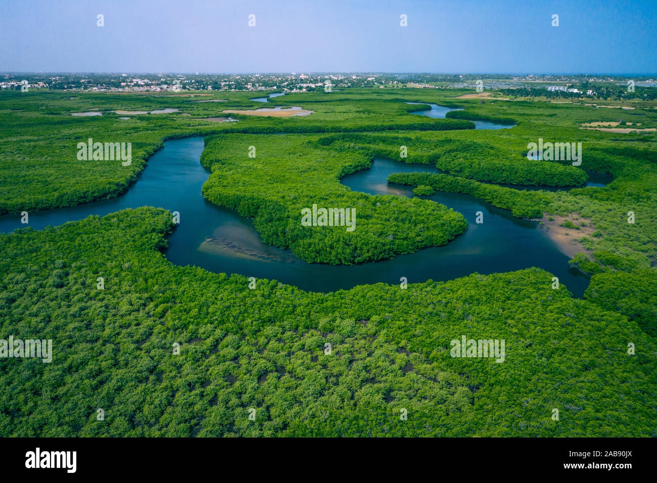 Gambie les mangroves. Vue aérienne de la forêt de mangrove en Gambie. Photo faite par drone depuis au-dessus. Afrique du paysage naturel. Banque D'Images