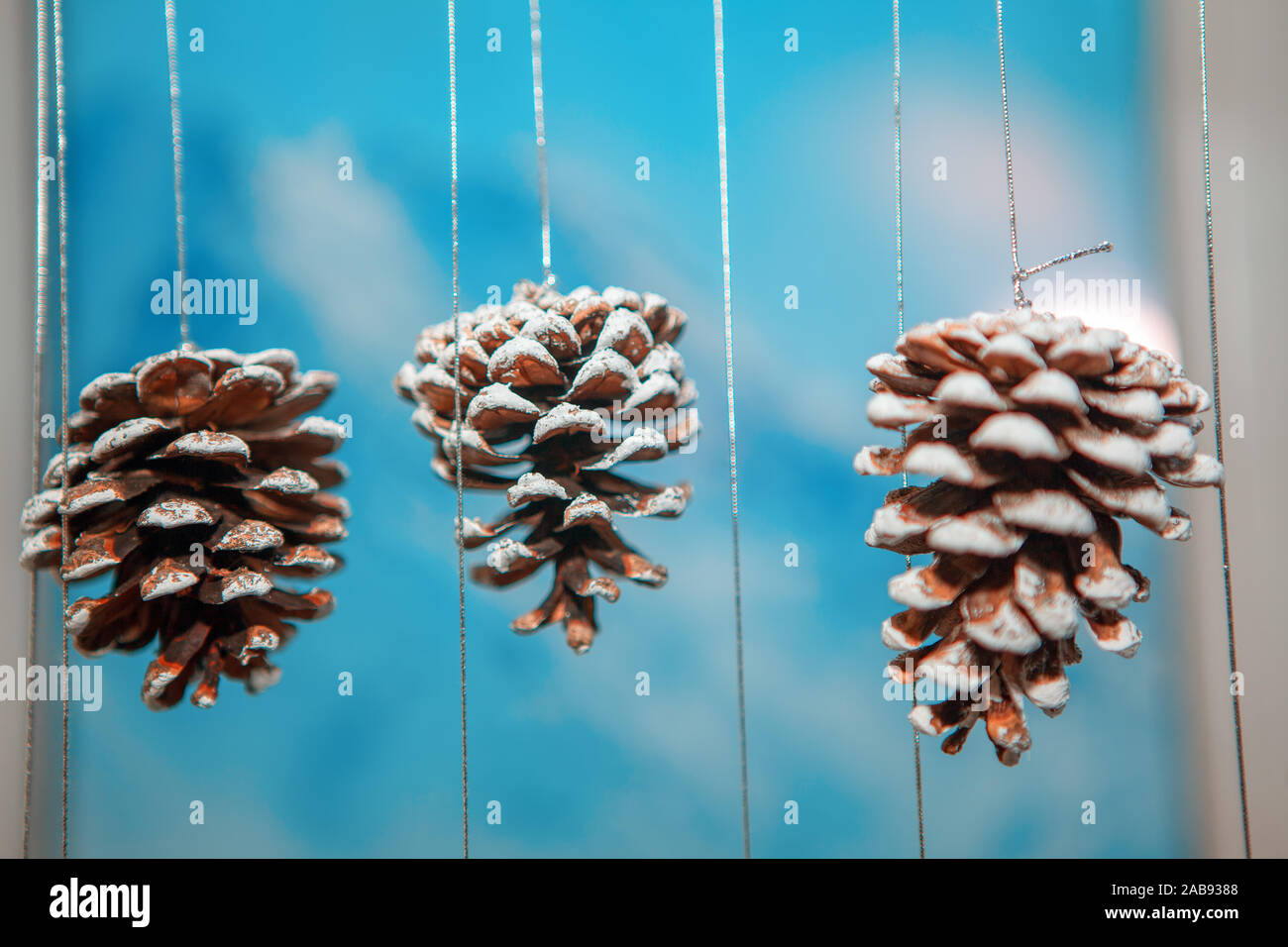 Noël Décoration cônes sur fond bleu Banque D'Images