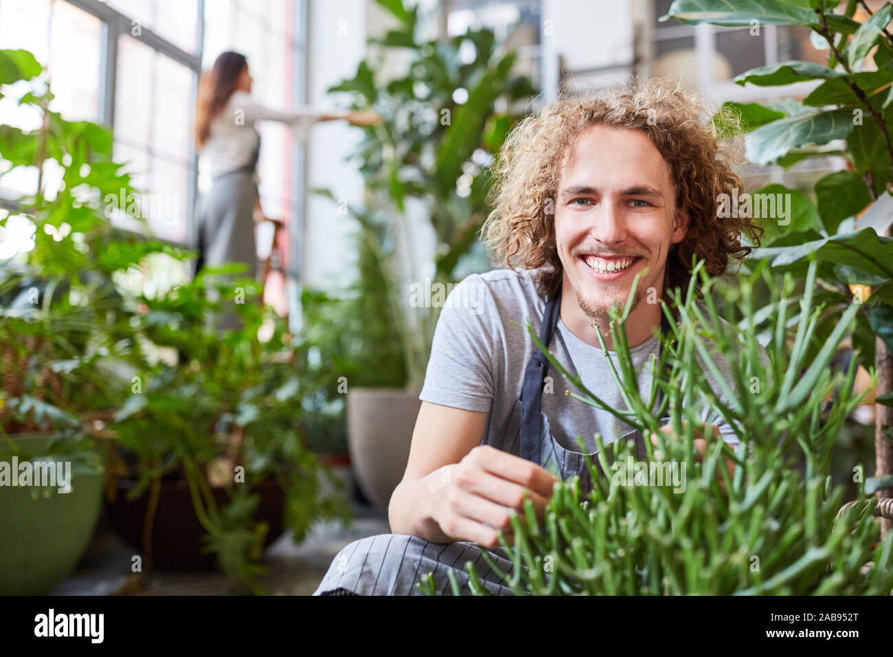 Formation fleuriste à sourire dans le soin des plantes d'intérieur Banque D'Images