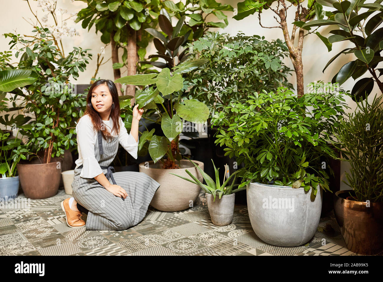 Un fleuriste de Eventfloristik décore les plantes vertes pour un événement Banque D'Images