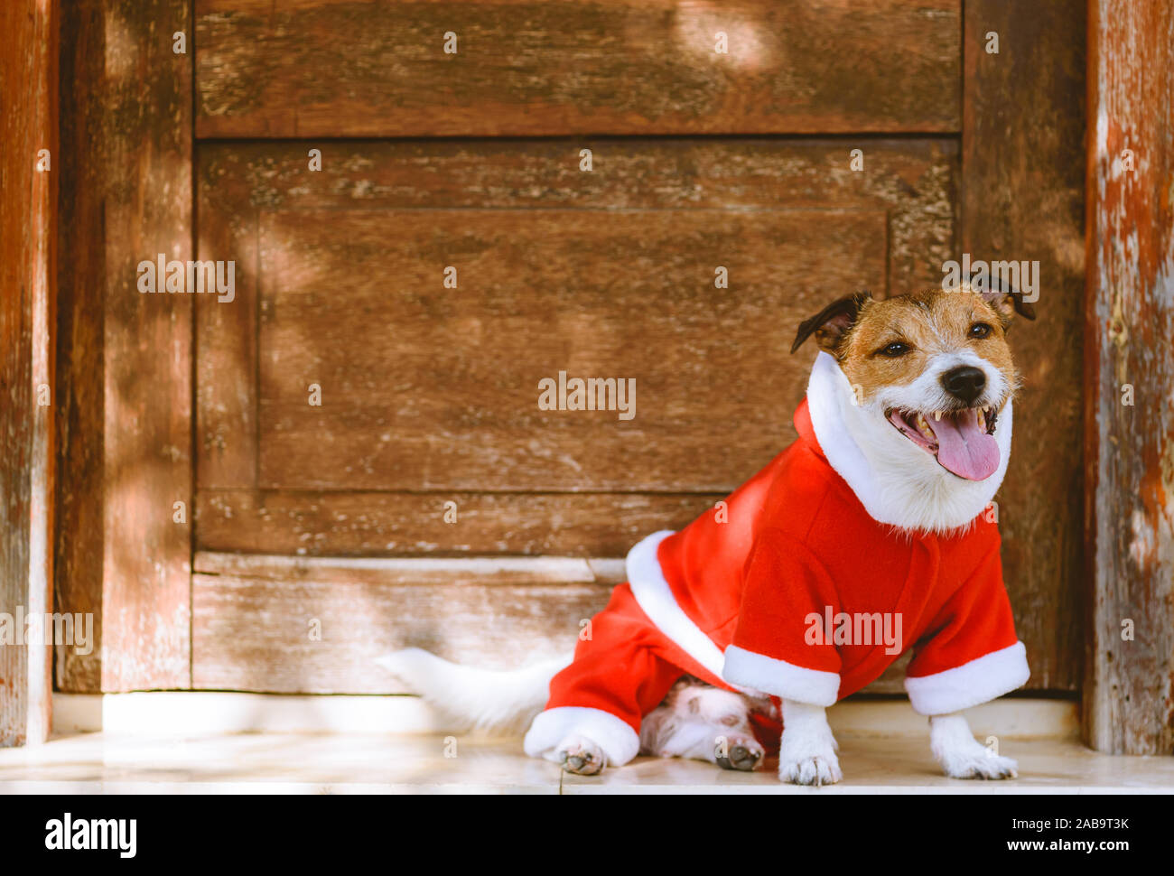 Bienvenue au party de Noël concept avec happy dog wearing santa claus costume en attente devant la porte de Banque D'Images