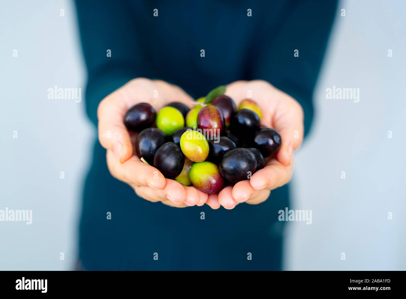 Close up of a woman's hands holding une poignée d'olives Banque D'Images