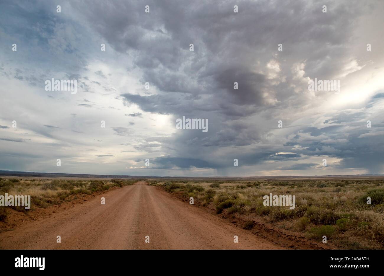 Une tempête de mousson court de par le paysage désertique du nord de l'Arizona. Banque D'Images