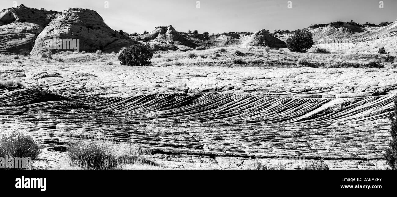 500px Photo ID : 1006566637 - Lit d'une rivière asséchée Banque D'Images