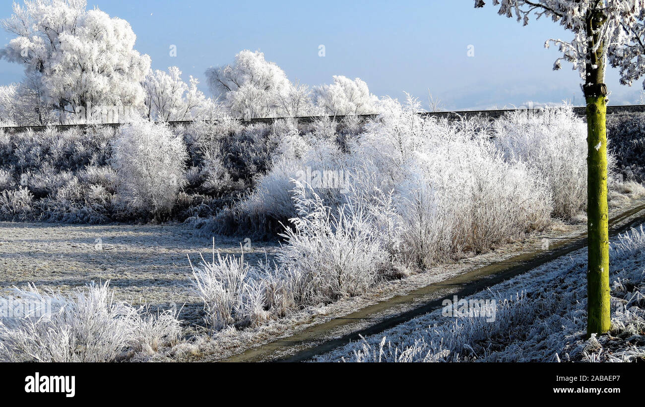 La première gelée et les vacances d'hiver ! Banque D'Images