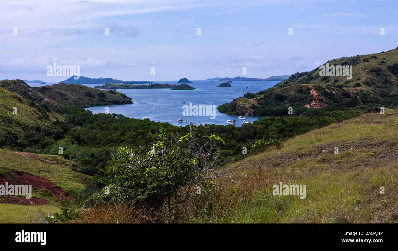 Paysage de Rinca Island, le Parc National de Komodo Banque D'Images