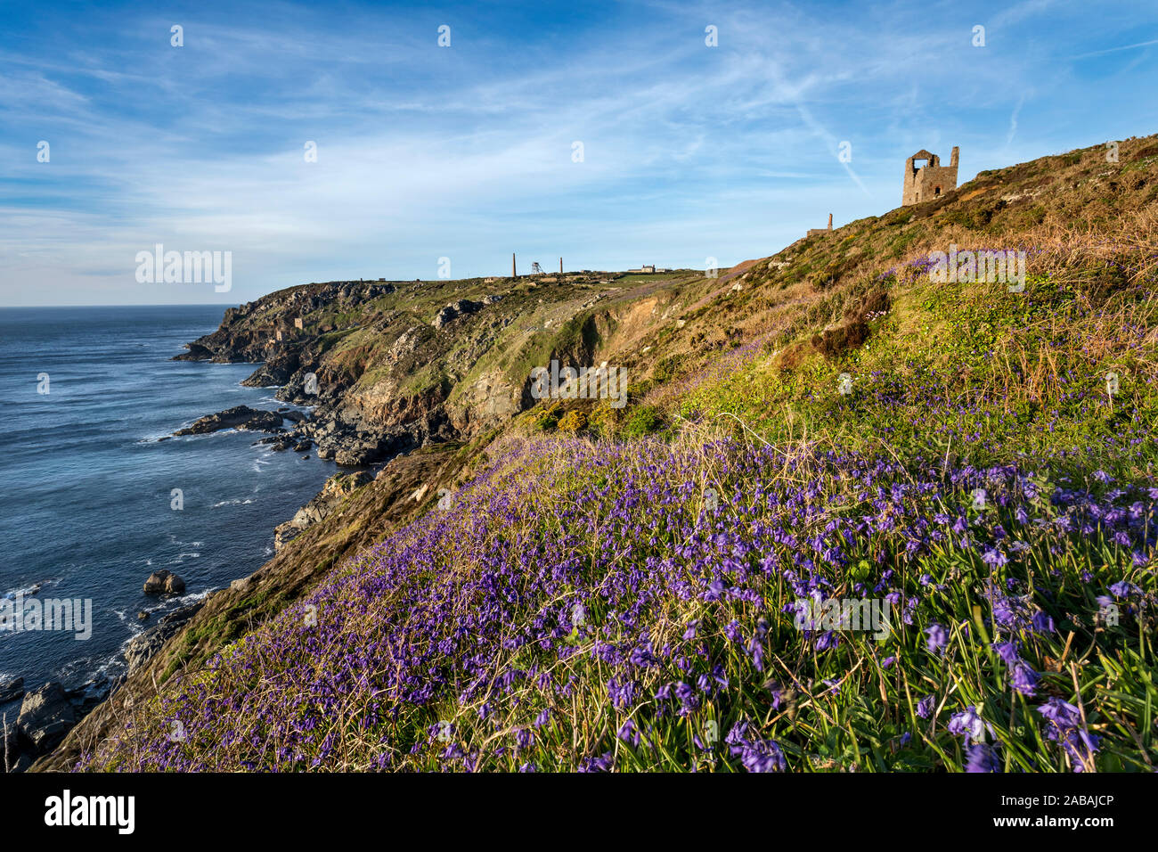 Botallack ; Bluebells, Cornwall, UK Banque D'Images