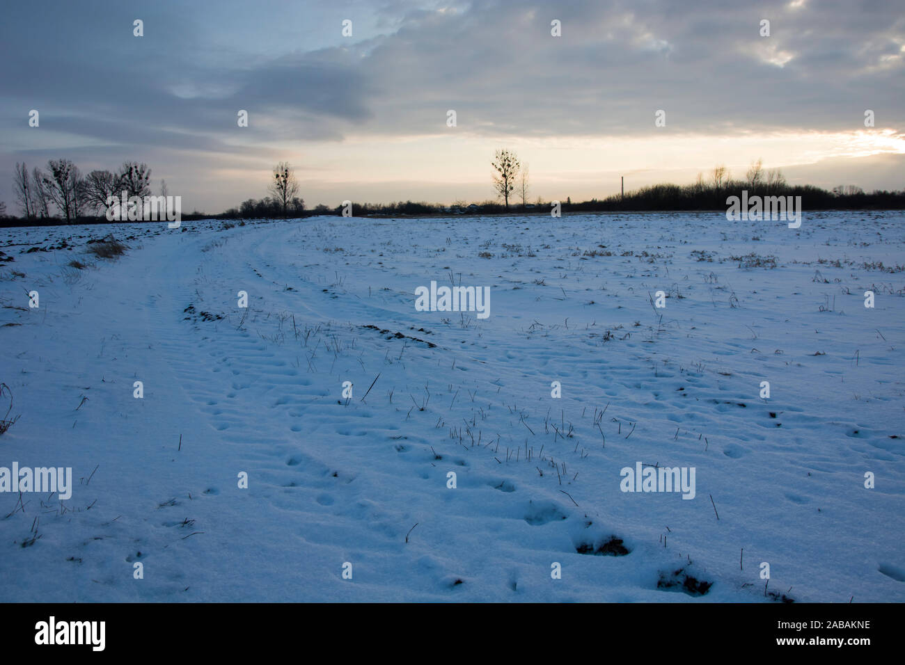 Vue d'hiver d'un chemin de terre, l'horizon et les nuages Banque D'Images