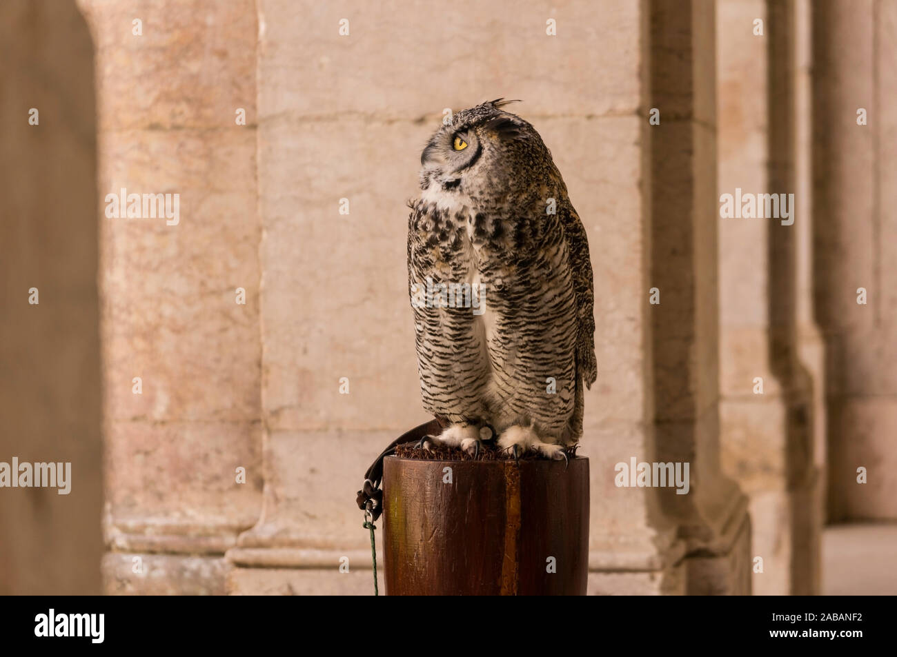 Ist eine Kleinstadt Mafra au Portugal, 40 km nordwestlich von Lissabon. Banque D'Images