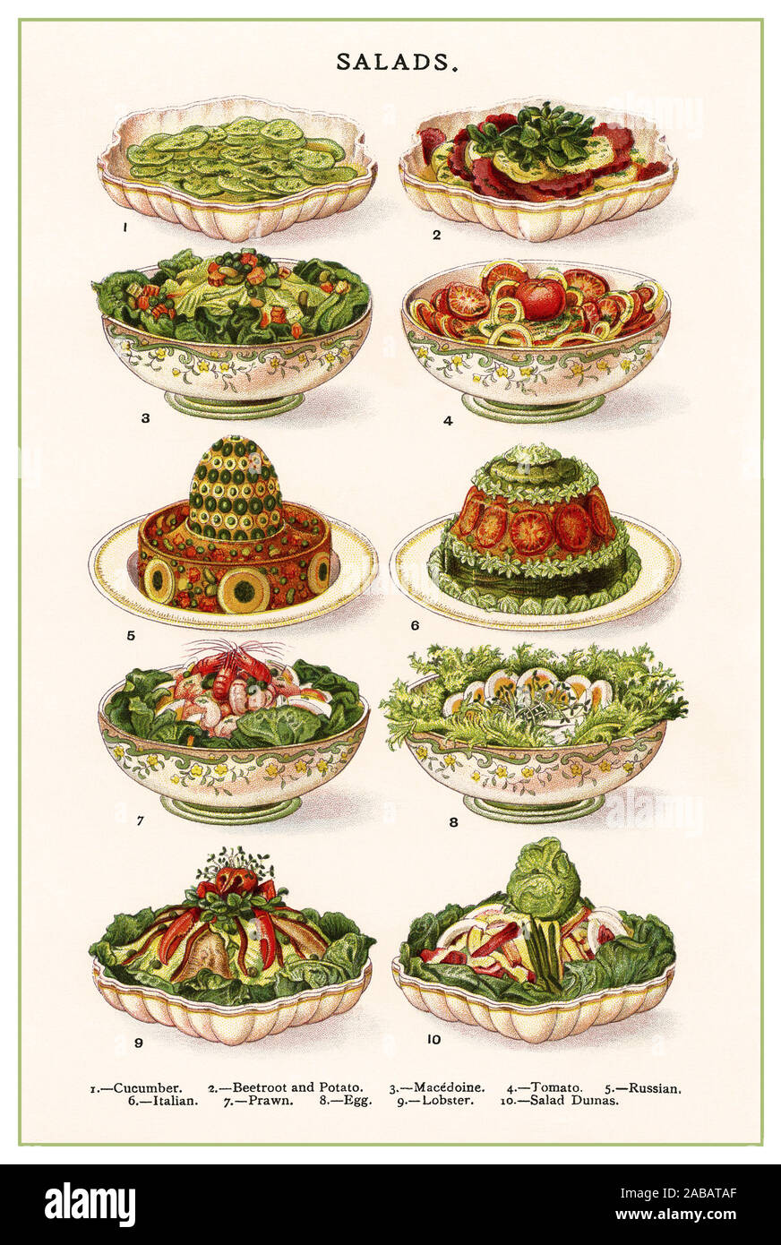 Salades Vintage couleur lithographie illustration page 1800 Mme Beeton's livre de cuisine - salades L-R le concombre, betterave et pomme de terre, tomate, Macedoine, Russe, Italien, crevette, oeuf, salade de homard, de Dumas. Banque D'Images