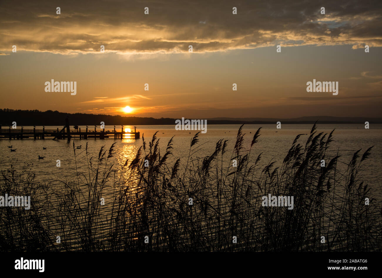 Steinhuder Meer Das ist der Niedersachsen en fait voir l'Nordwestdeutschlands Banque D'Images