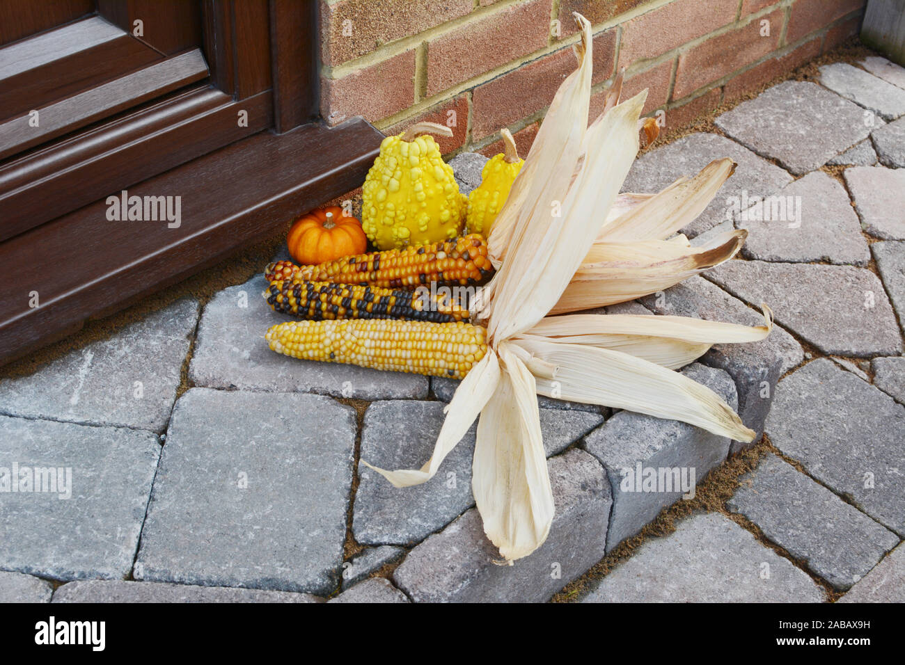 Automne décoration de multi-couleur le maïs et les courges d'ornement à la porte d'une maison - avec copie espace Banque D'Images