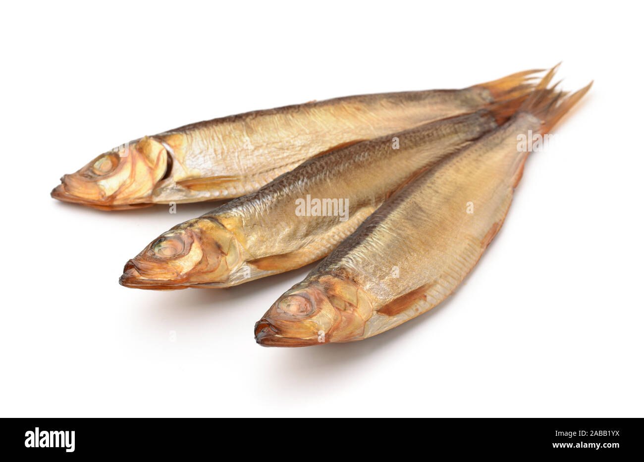 L'anchois fumé isolated on white Banque D'Images
