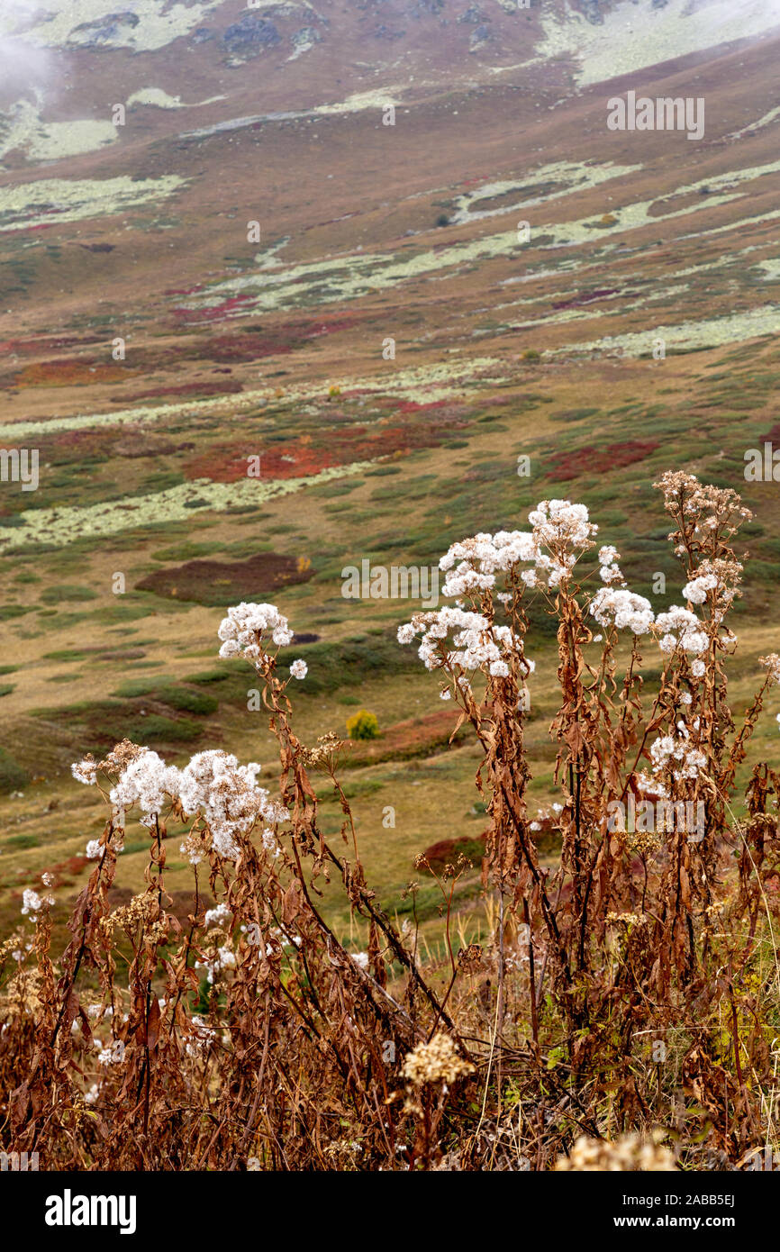 Caucase montagneux paysage de Svaneti, région de la Géorgie. Banque D'Images