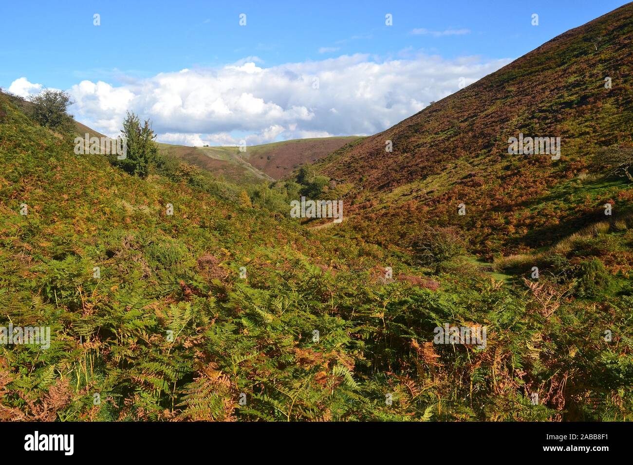 Vue sur le Shropshire Hills, Moulin à carder de vallée à long Mynd. Angleterre, Royaume-Uni Banque D'Images