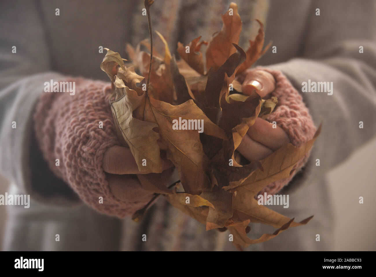 Woman wearing Fingerless Gloves holding autumn leaves Banque D'Images