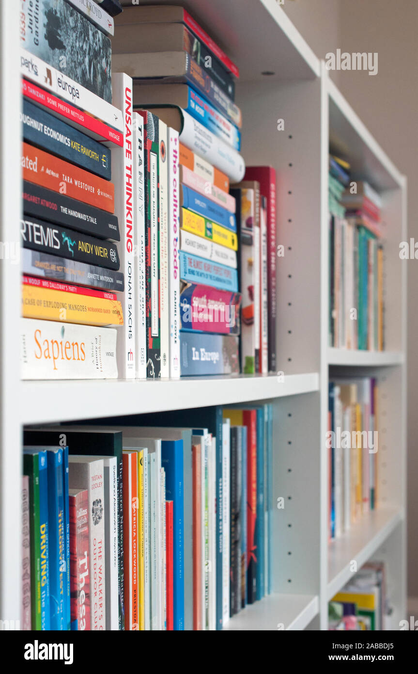 Une bibliothèque accueil bibliothèque remplie de nombreux livres. Propre, blanc, un design intérieur moderne. Banque D'Images