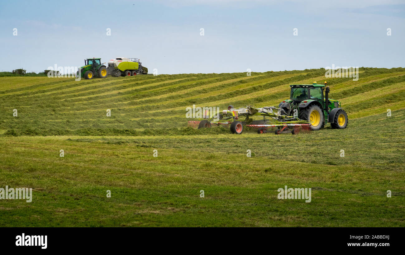 Kirwee, Canterbury, Nouvelle-Zélande, le 26 novembre 2019 : les machines agricoles au travail le ratissage de l'herbe fraîchement tondue pour être mis en balles pour l'hiver d'alimentation stock Banque D'Images