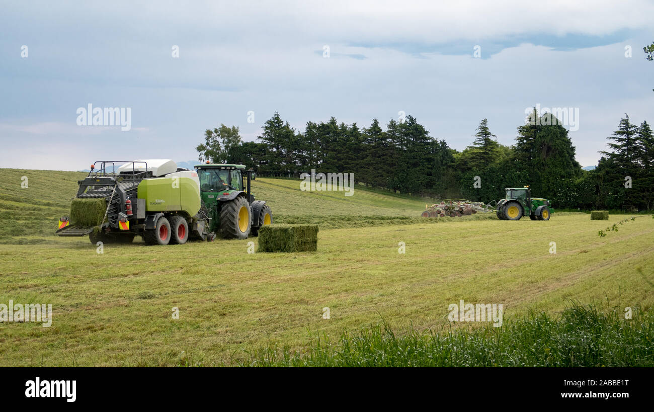 Kirwee, Canterbury, Nouvelle-Zélande, le 26 novembre 2019 : les machines agricoles au travail le ratissage de l'herbe fraîchement tondue pour être mis en balles pour l'hiver d'alimentation stock Banque D'Images