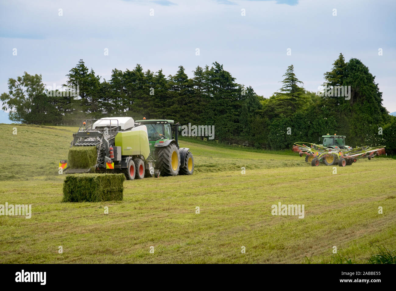 Kirwee, Canterbury, Nouvelle-Zélande, le 26 novembre 2019 : les machines agricoles au travail le ratissage de l'herbe fraîchement tondue pour être mis en balles pour l'hiver d'alimentation stock Banque D'Images