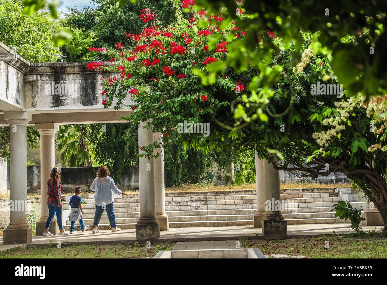 Las Delicias hacienda abandonnée dans la ville magique de Alamos Sonora, Mexique. Maison de délices. ferme, l'architecture. Style Italien, l'architecture italienne. La ville magique Alamos, Sonora, Mexique.', tourisme, © (© Photo : LuisGutierrez NortePhoto.com) abandonada / hacienda Las Delicias en el Pueblo Mágico de Alamos Sonora, Mexique. Casa de Las Delicias. finca, arquitectura. estilo italiano, arquitectrura italiana. el pueblo Mágico Alamos, Sonora, Mexique. turista, turismo, © (© Photo : LuisGutierrez NortePhoto.com) / Banque D'Images