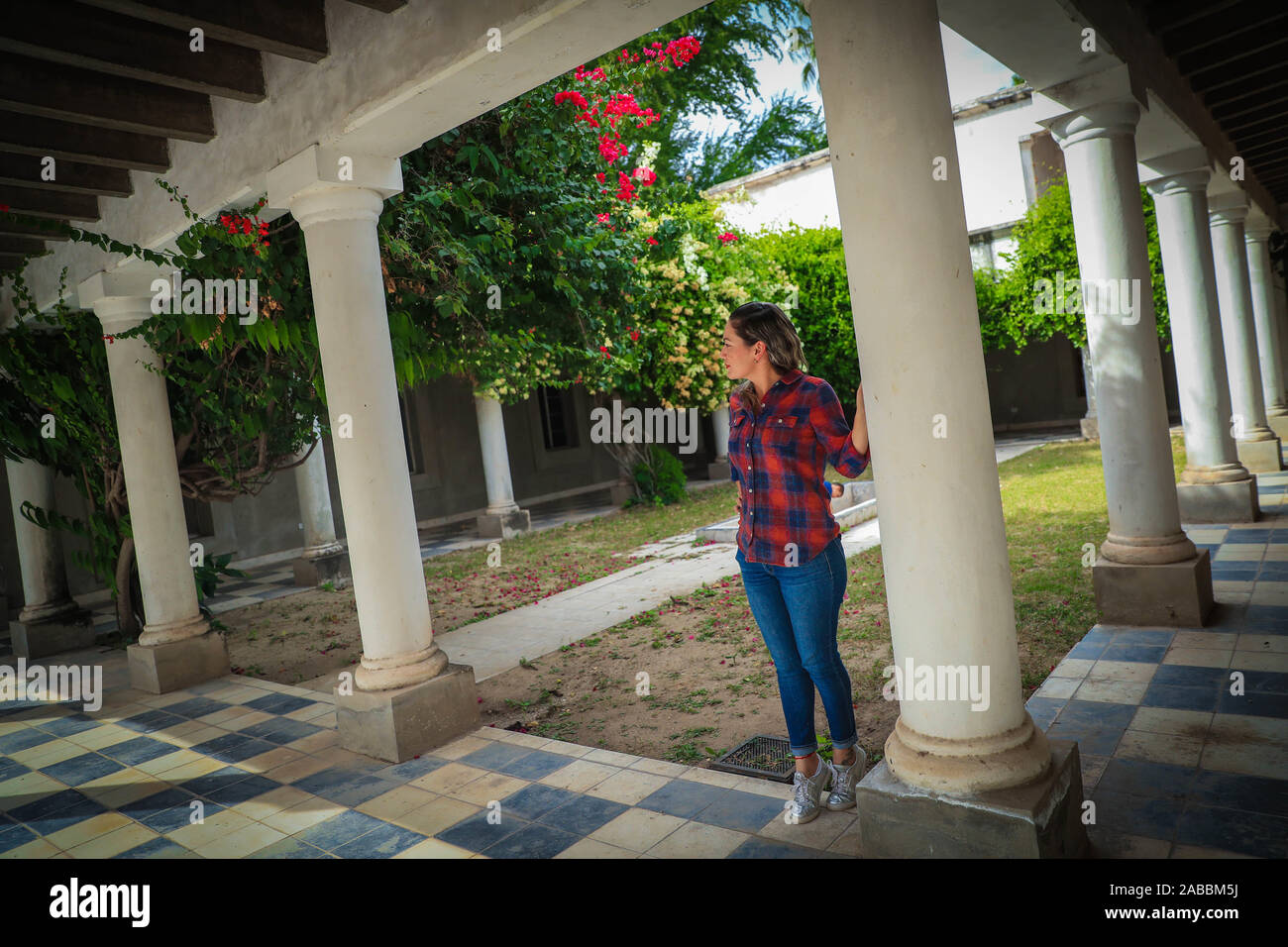 Las Delicias hacienda abandonnée dans la ville magique de Alamos Sonora, Mexique. Maison de délices. ferme, l'architecture. Style Italien, l'architecture italienne. La ville magique Alamos, Sonora, Mexique.', tourisme, © (© Photo : LuisGutierrez NortePhoto.com) abandonada / hacienda Las Delicias en el Pueblo Mágico de Alamos Sonora, Mexique. Casa de Las Delicias. finca, arquitectura. estilo italiano, arquitectrura italiana. el pueblo Mágico Alamos, Sonora, Mexique. turista, turismo, © (© Photo : LuisGutierrez NortePhoto.com) / Banque D'Images