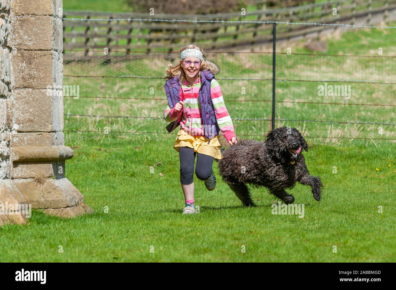 Laughing young girl running with black labradoodle chien dans un cadre rural Banque D'Images